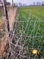Schapengaas 100 cm hoog, Tuin en Terras, Ophalen, Gebruikt, 20 meter of meer, Gaas
