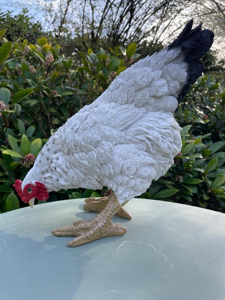 Beeld kip, tuin, vijver, gazon, boerderij 35cm, Ophalen, Nieuw, Kunststof, Dierenbeeld