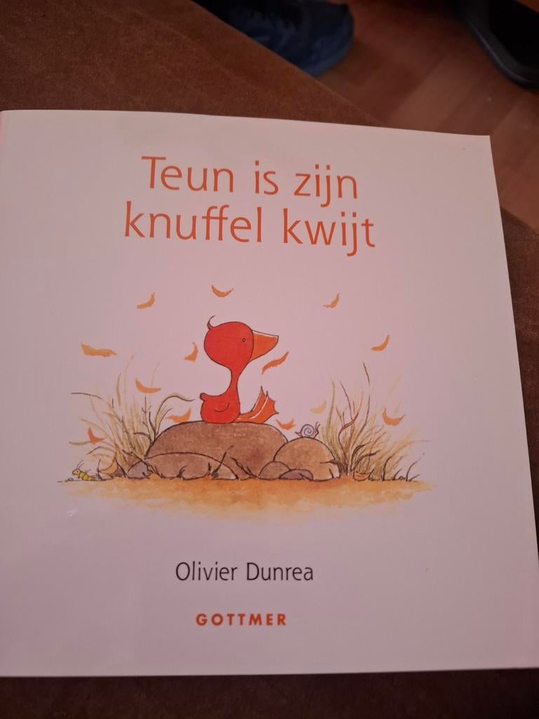 Teun is zijn knuffel kwijt - Olivier Dunrea (Gottmer), Fictie algemeen, Jongen of Meisje, Zo goed als nieuw, Voorleesboek
