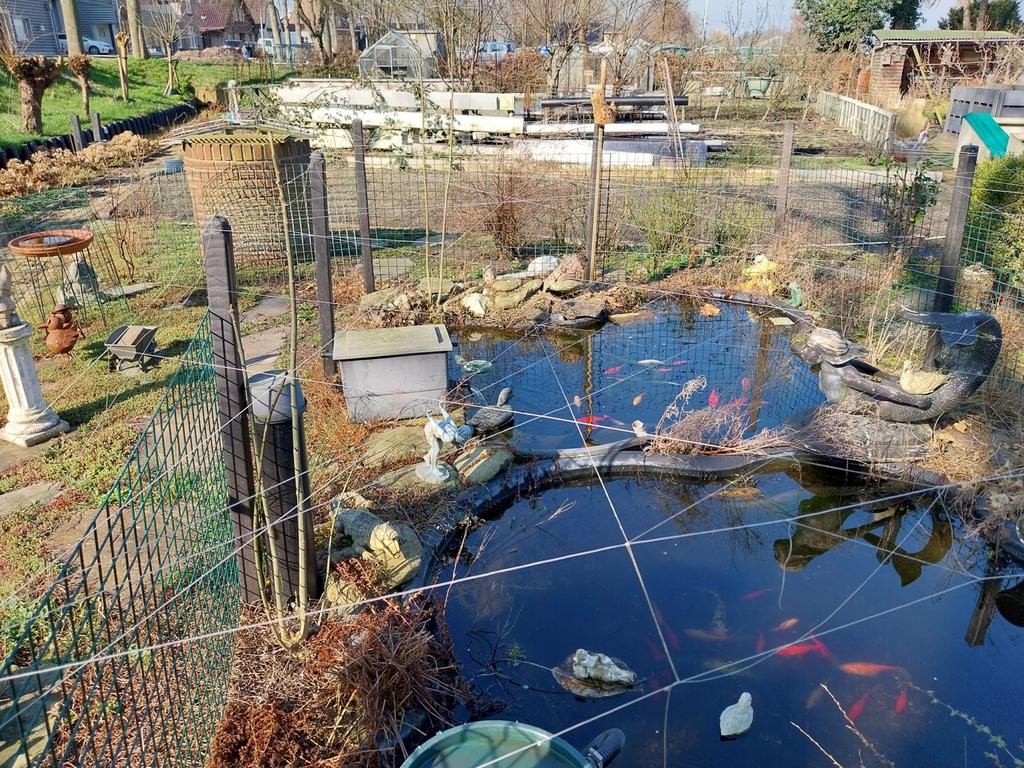 2X Visvijver Ubbink, Ophalen, Gebruikt