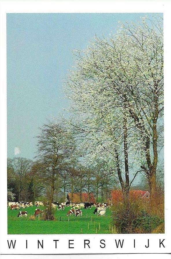 Winterswijk, Ophalen of Verzenden, 1980 tot heden, Gelopen, Gelderland