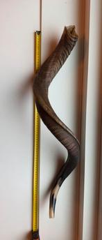 KUDU SHOFAR 76CM, Ophalen of Verzenden