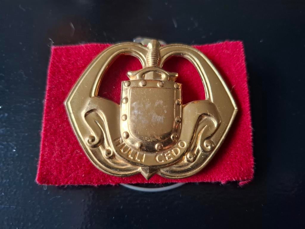Insigne Baret - Militair Embleem, Verzamelen, Ophalen of Verzenden, Overige soorten, Overige gebieden, Embleem of Badge