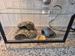 Terrarium 40x25x25cm incl accessoires, Dieren en Toebehoren, Reptielen en Amfibieën | Toebehoren, Ophalen, Zo goed als nieuw, Terrarium of Paludarium