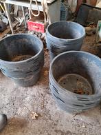 40L kuipen, Ophalen, Volle zon, Overige soorten, Minder dan 100 cm