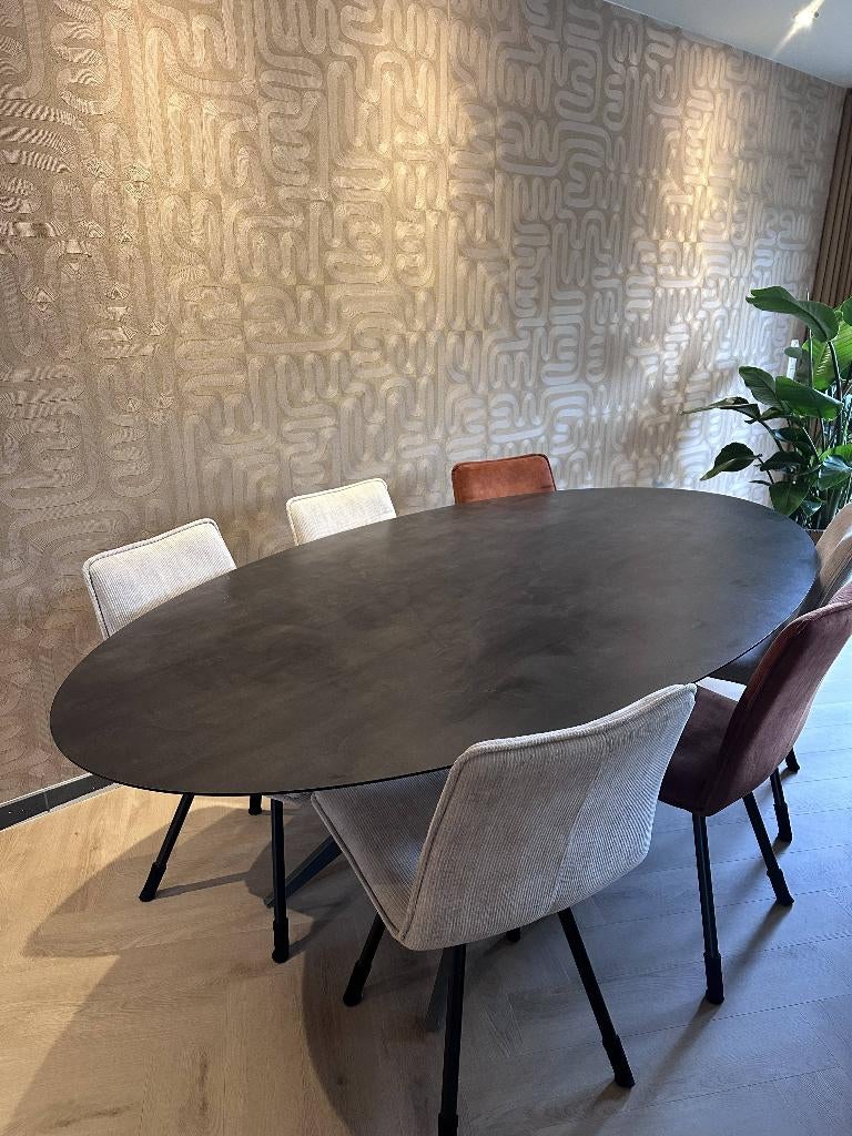 Ovalen eettafel "baenks"(230x120) + optioneel stoelen, Ophalen, 100 tot 150 cm, 200 cm of meer, Zo goed als nieuw