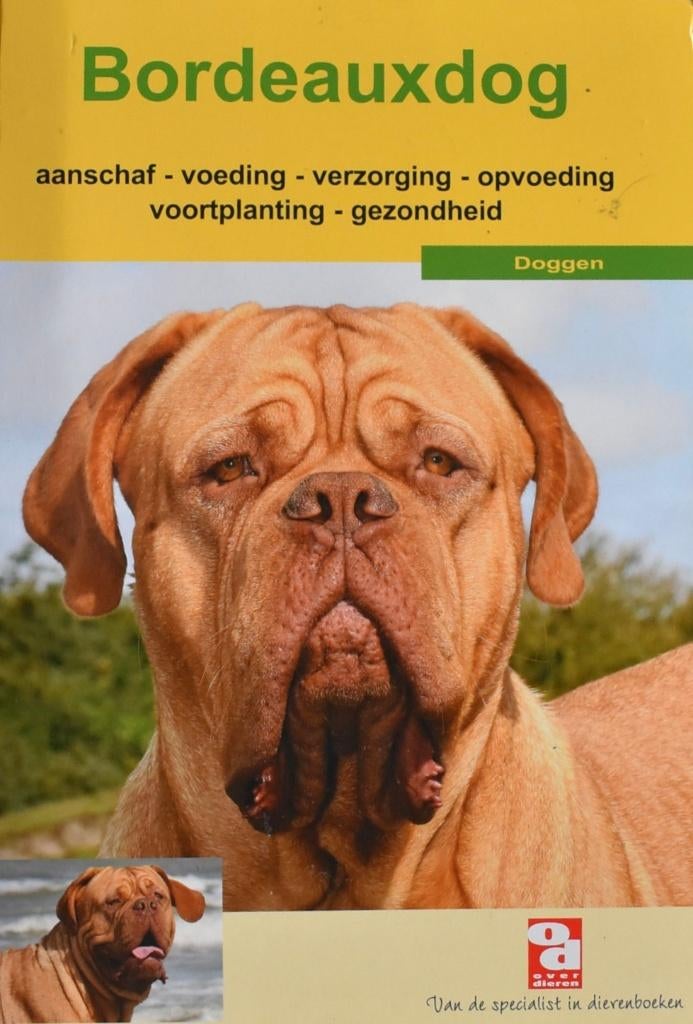 Bordeauxdog: aanschaf, (op)voeding, verzorging enz, Ophalen of Verzenden, Zo goed als nieuw, Honden