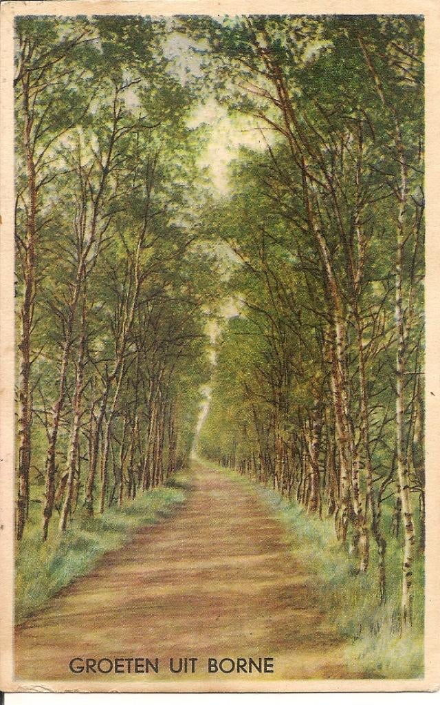Groeten uit Borne., Verzamelen, Ophalen of Verzenden, 1960 tot 1980, Ongelopen, Overijssel