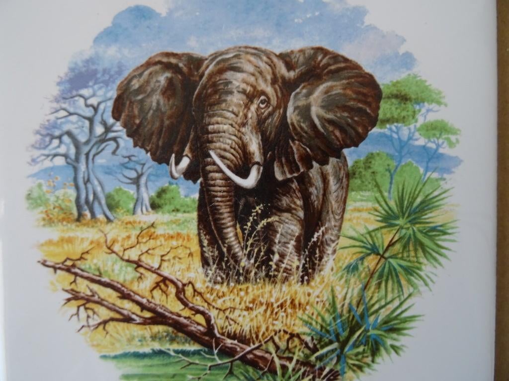 Curiosa vintage tegel met olifant aardewerk tegel olifant, Ophalen of Verzenden