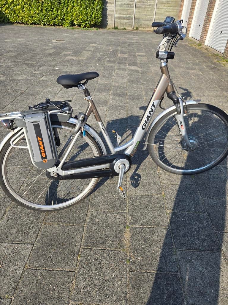 Defect Giant twist Hybrid Accu's zijn goed!! 50km per stuk, Ophalen, Gebruikt, 50 km per accu of meer, Giant