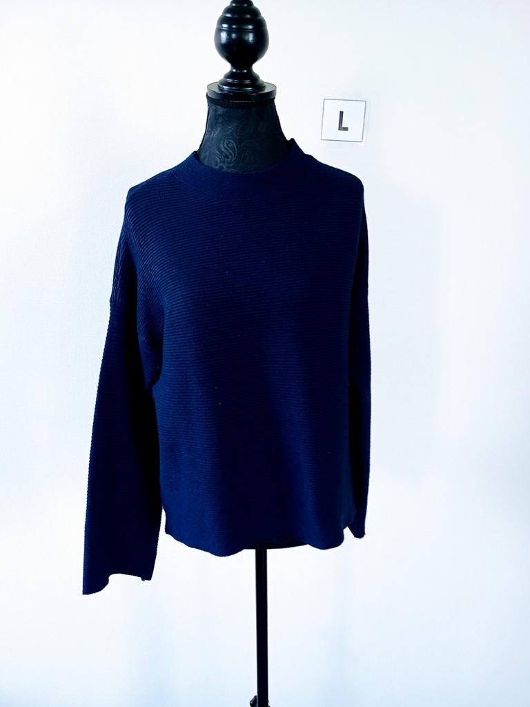 Truitje. Shirtje. Blauw. Maat L/40, Kleding | Dames, Tops, Blauw, Maat 42/44 (L), Ophalen of Verzenden, Zo goed als nieuw