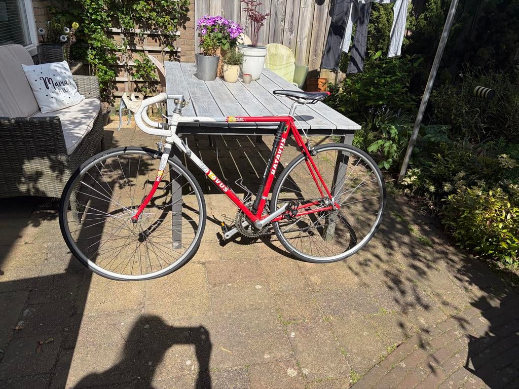 Vintage Batavus Course Racefiets - Reynolds 501, Fietsen en Brommers, Fietsen | Racefietsen, Ophalen, 28 inch, Gebruikt, Batavus