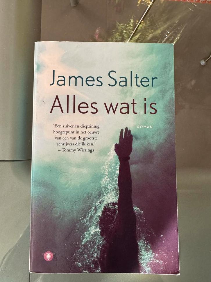 James Salter - Alles wat is (Roman), Boeken, Romans, Gelezen, Europa overig, Ophalen of Verzenden