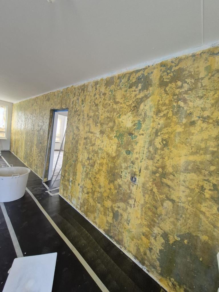 STUKADOOR & SCHILDER GEZOCHT ?