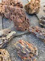 Mooie lavarotsen voor aquarium 73 kg diverse maten, Dieren en Toebehoren, Vissen | Aquaria en Toebehoren, Ophalen