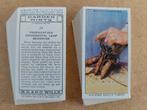 Garden Hints complete set 50 cigarette cards tuinieren 1938, Ophalen, Gebruikt