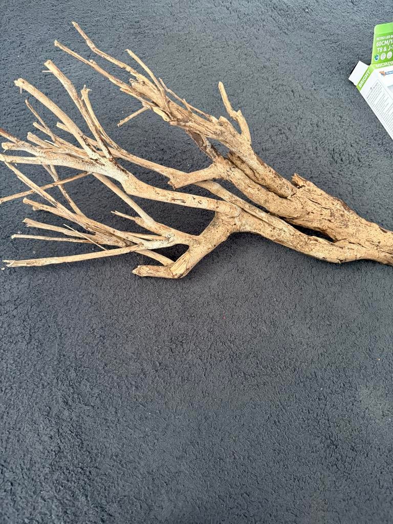 Mooi stuk drijfhout 60 cm, Ophalen, Plant(en), Steen of Hout