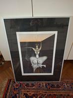 LITHO ( Gesigneerd), Ophalen