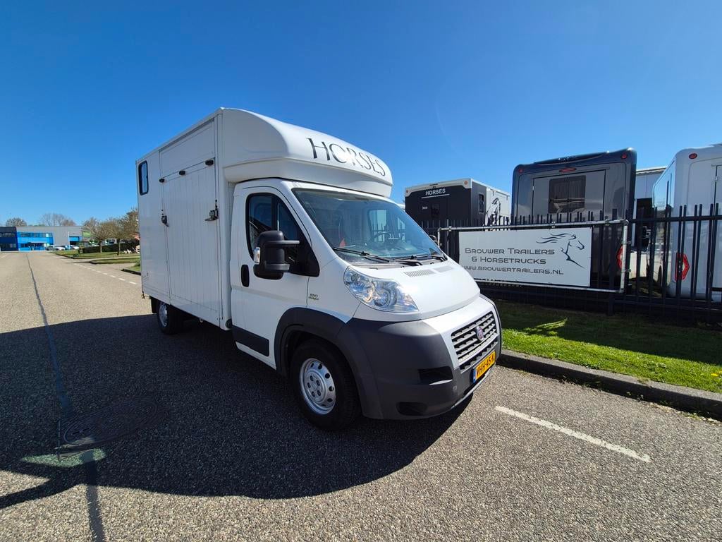 Fiat Ducato horsetruck,56000km,zeer mooi!, Dieren en Toebehoren, Ophalen, Aluminium, Overige typen