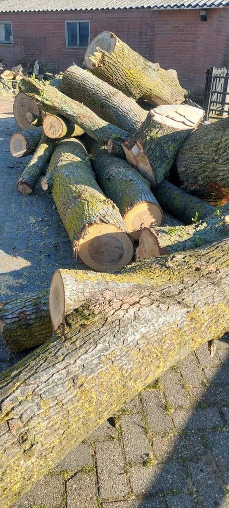 Kachel hout, 6 m³ of meer, Ophalen of Verzenden, Overige houtsoorten, Blokken