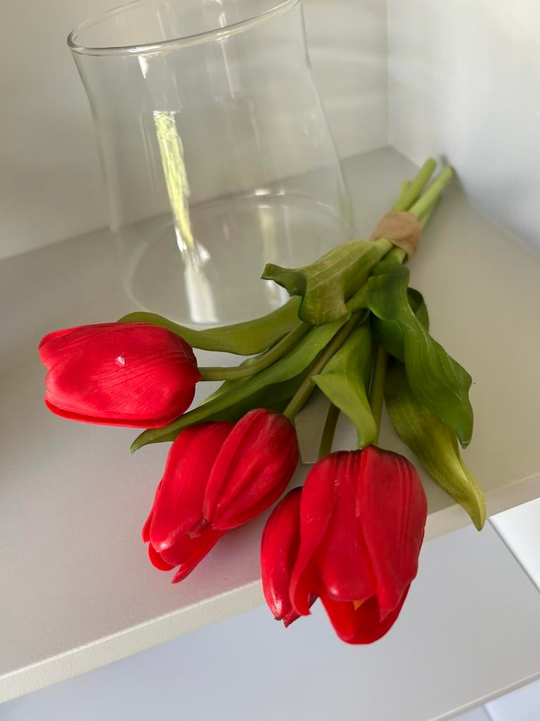 Rode tulpen, Ophalen of Verzenden