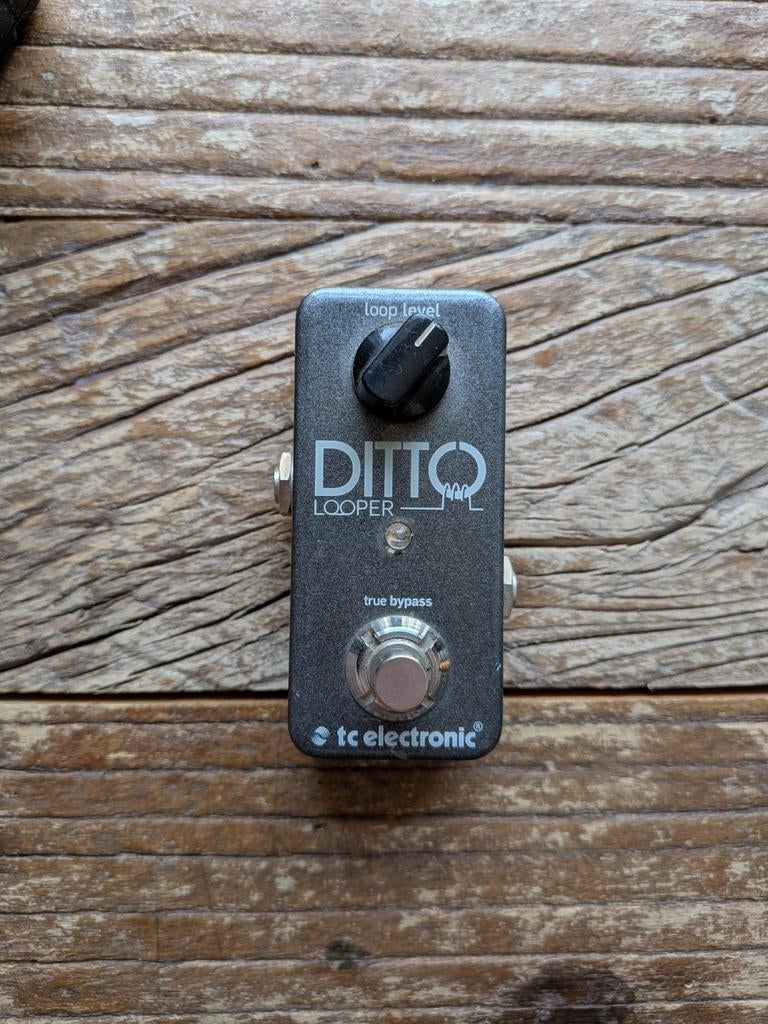TC Electronic Ditto Looper, Muziek en Instrumenten, Ophalen of Verzenden, Zo goed als nieuw, Overige typen