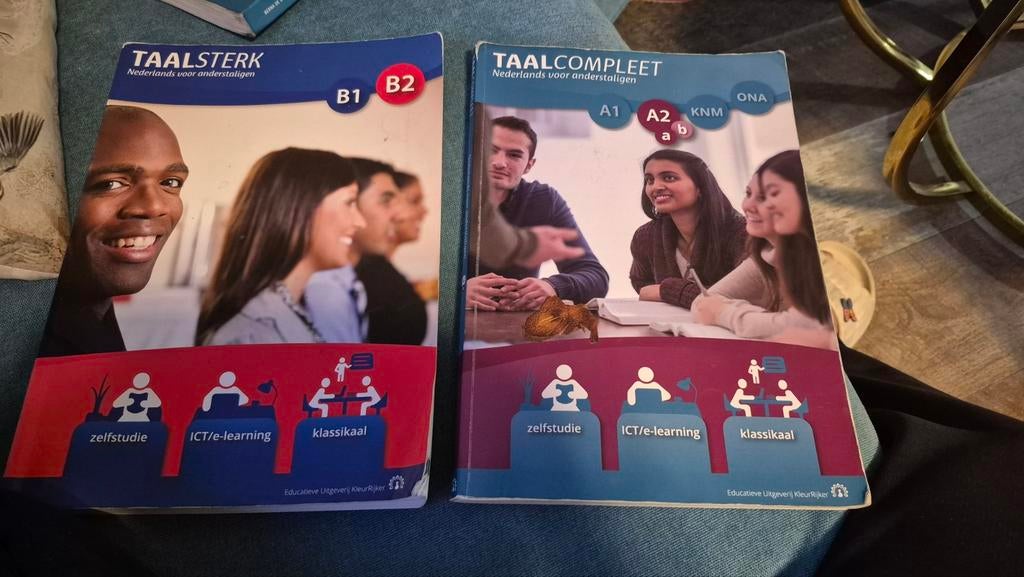 Gebruikte boeken Nederlands voor anderstaligen, Boeken, Ophalen of Verzenden, Alpha, Gelezen, Overige niveaus