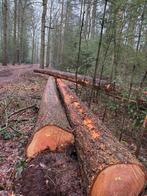 Beschikbaar: Douglas langhout, zaagstammen. Mooi hout, Ophalen of Verzenden, Balk, Overige houtsoorten, 50 mm of meer