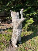 Poes, kat, grijs, tuin, gazon, kitten, boerderij 50cm, Tuin en Terras, Tuinbeelden, Ophalen of Verzenden, Nieuw, Kunststof, Dierenbeeld