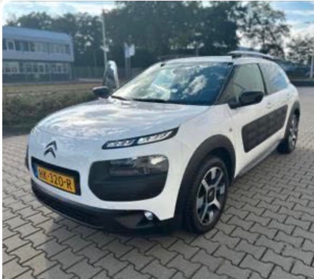 Citroën C4 Cactus Automaat 2015 | Airco,Cruise, panoramadak, Auto's, 725 kg, 31 €/maand, Origineel Nederlands, Particulier