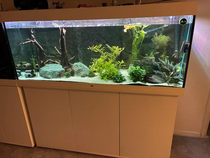 Juwel rio 450, Dieren en Toebehoren, Vissen | Aquaria en Toebehoren, Zo goed als nieuw, Gevuld zoetwateraquarium, Ophalen of Verzenden