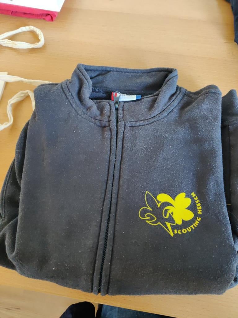 Trui / Vest Scouting Heesch, Verzenden, Kleding