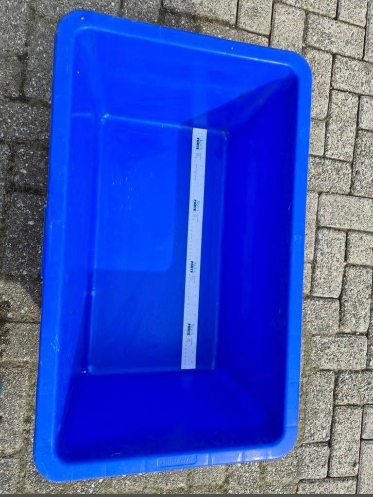 Blauwe vis meetbak met meetlint, 65cm binnenmaat, Ophalen