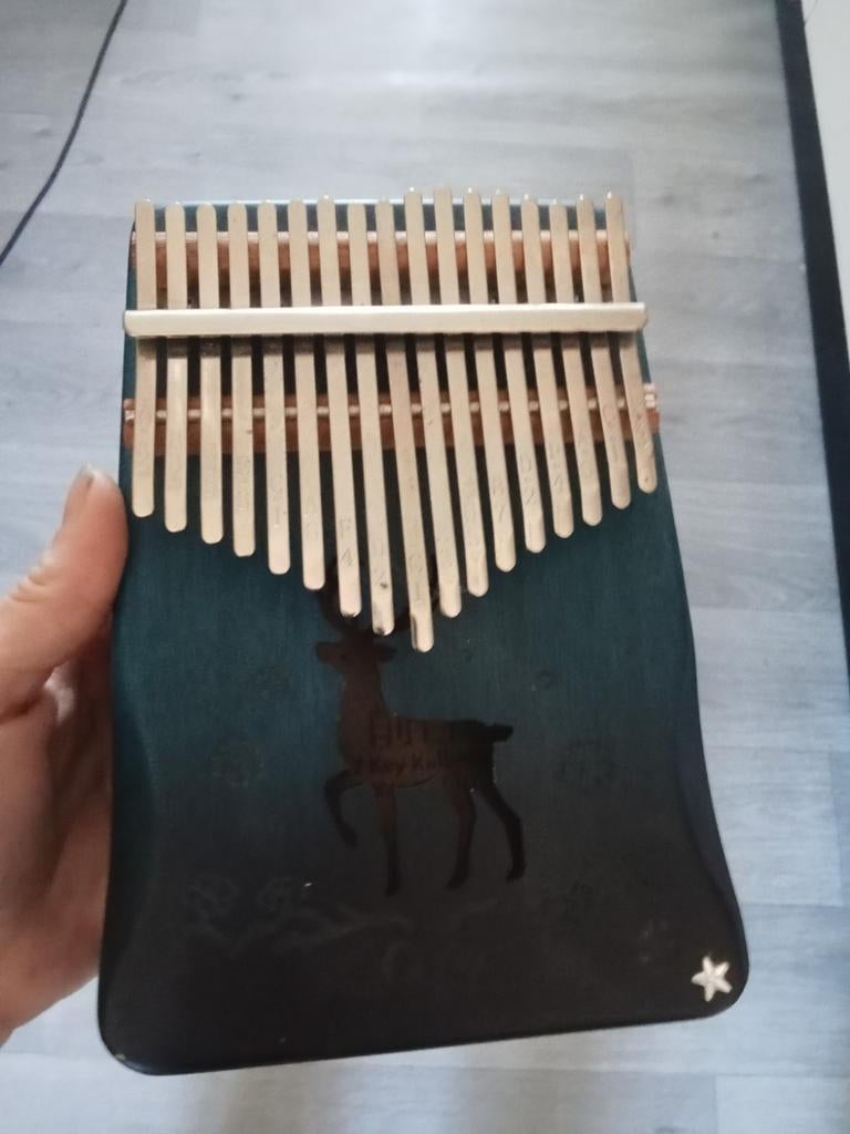 Kalimba, Muziek en Instrumenten, Ophalen of Verzenden, Zo goed als nieuw, Melodische percussie