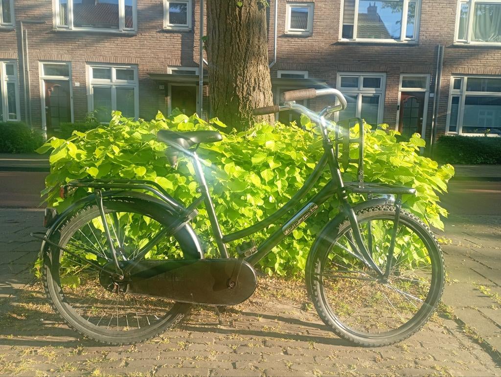 Popal kinderfiets 20 inch 41cm Rijklaar!, Gebruikt, Popal Cooper, Ophalen of Verzenden, Terugtraprem