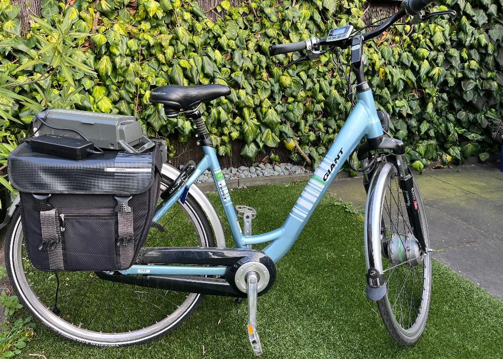 GIANT TWIST GO DOUBLE ELECTRISCHE FIETS, Fietsen en Brommers, Ophalen, Giant, 50 tot 53 cm, Schijfrem
