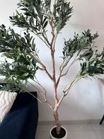 Kunst olijf boom 180 cm, Ophalen of Verzenden, Zo goed als nieuw