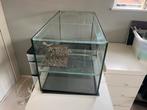 Aquarium / terrarium 80 x 40 x 40, Ophalen, Zo goed als nieuw, Leeg aquarium