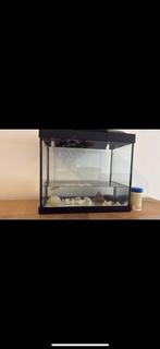 Aquarium, Dieren en Toebehoren, Vissen | Aquaria en Toebehoren, Ophalen, Zo goed als nieuw, Leeg aquarium
