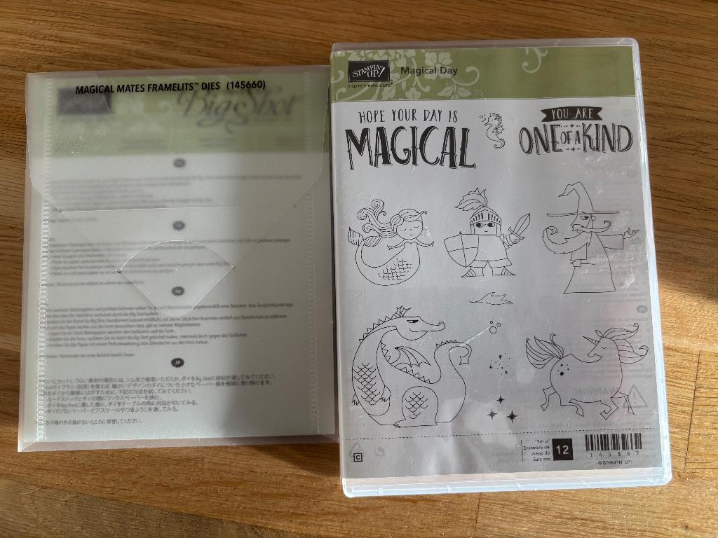 Stampin' Up! | Magical Day met pakket designpapier, Ophalen of Verzenden, Zo goed als nieuw, EZ-mounted stempel