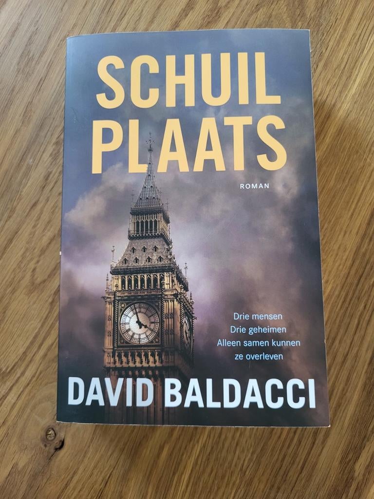 Schuilplaats  van auteur David Baldacci, Boeken, Ophalen of Verzenden, Zo goed als nieuw
