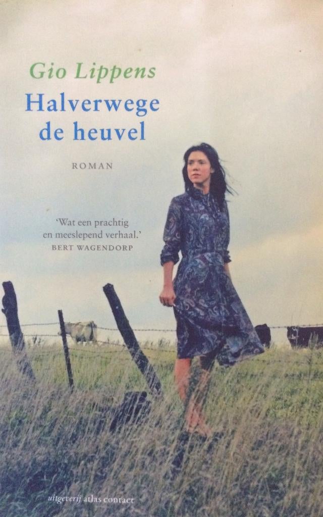 boek: Gio Lippens - Halverwege de heuvel (2012), Ophalen of Verzenden, Zo goed als nieuw