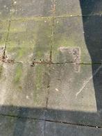 50 grote tuintegels 50x50, Ophalen, Zo goed als nieuw, Beton, Terrastegels