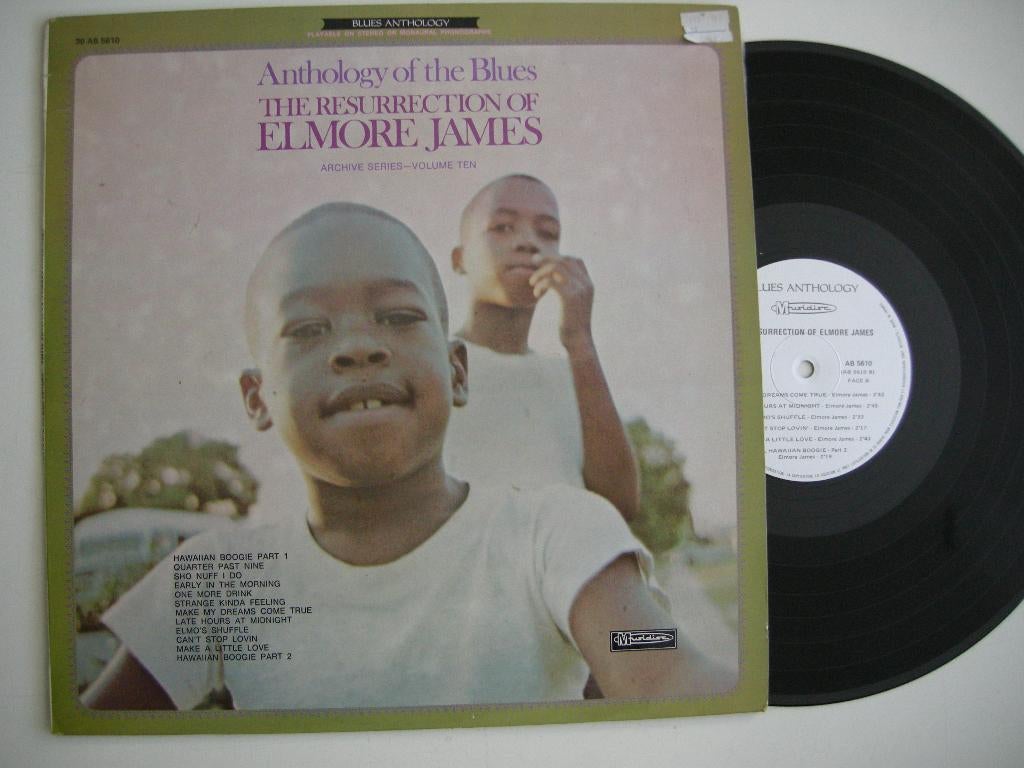 Elmore James The Resurrection- LP vinyl zgan, Cd's en Dvd's, Vinyl | Jazz en Blues, Ophalen, 1960 tot 1980, Zo goed als nieuw