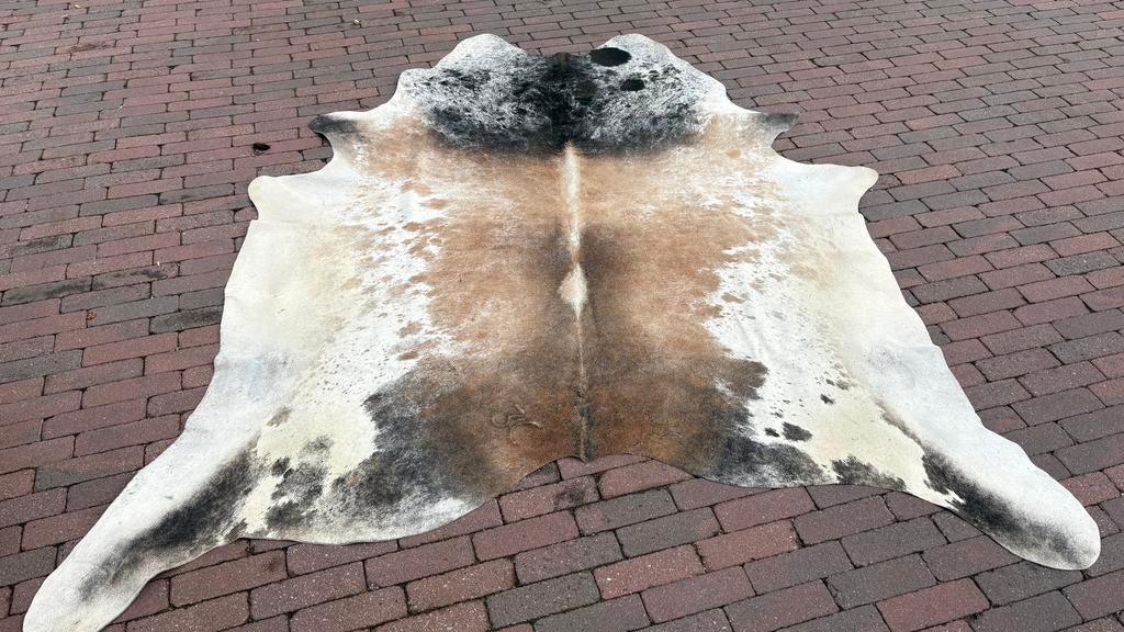 Koe kleed, Mannelijk