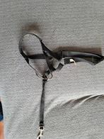 Neusriempje  middelgrote hond., Ophalen