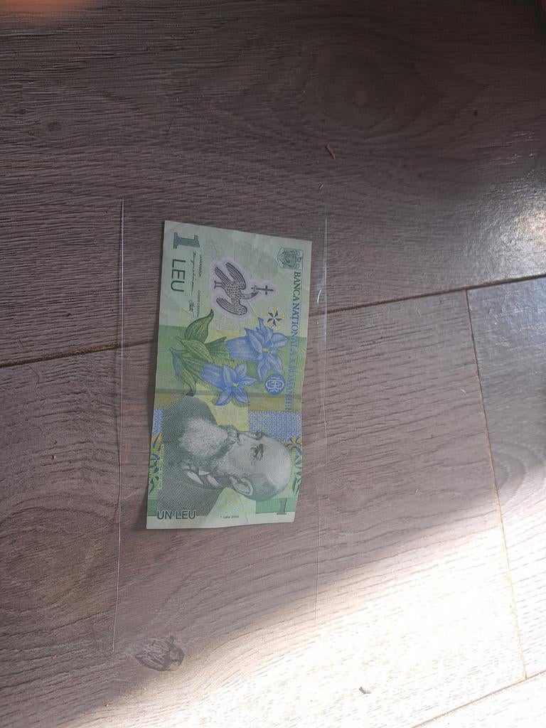 1 leu met scheur, Postzegels en Munten, Ophalen of Verzenden, Nederland, Munten