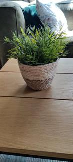 Kunstplant met mandje., Ophalen of Verzenden, Nieuw, Binnen