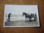 ZANDVOORT  >  SCHELPENVISSCHER, Verzenden, 1940 tot 1960, Gelopen, Noord-Holland