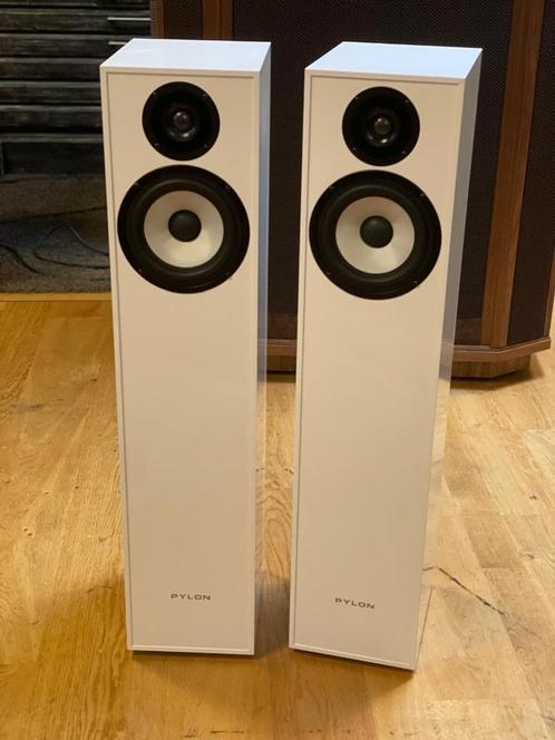 Pylon Pearl 20, Audio, Tv en Foto, Luidsprekers, Gebruikt, Front, Rear of Stereo speakers, Minder dan 60 watt, Overige merken